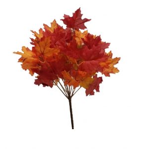 RED ORANGE MAPLE LEAF BUSH