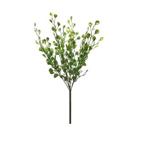SPRING GREEN MAIDENHAIR BUSH x 6 Stems