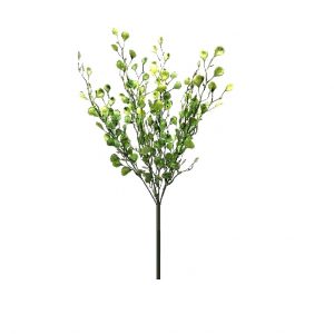 MAIDEN HAIR BUSH TTGREEN x 6 Stems