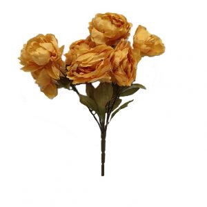AMBER PEONY BUSH