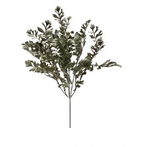 DRAGON FERN FROSTED GREEN x 6 stems
