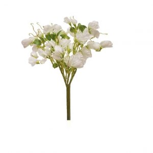 WHITE SWEET PEA BUNDLE
