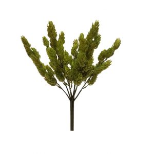 HOPS BUSH x 9 Stems