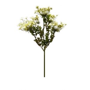 GREEN TALL FRAME QUEEN ANNE LACE BUSH  x 5 Stems