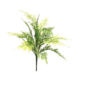 GREEN LEATHER FERN x 7 Stems