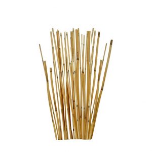 NATURAL RIVER CANE / 36-48"
