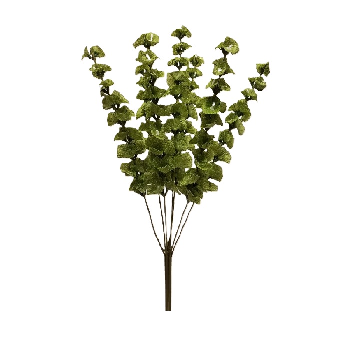 BELLS OF IRELAND BUSH