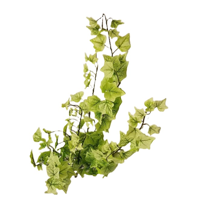 LIGHT GREEN IVY BUSH
