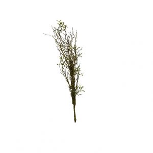 GREEN BAMBOO SPRAY / 28"