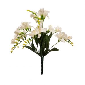 NATURAL WHITE FREESIA BUSH