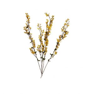 YELLOW NATURAL FORSYTHIA X5