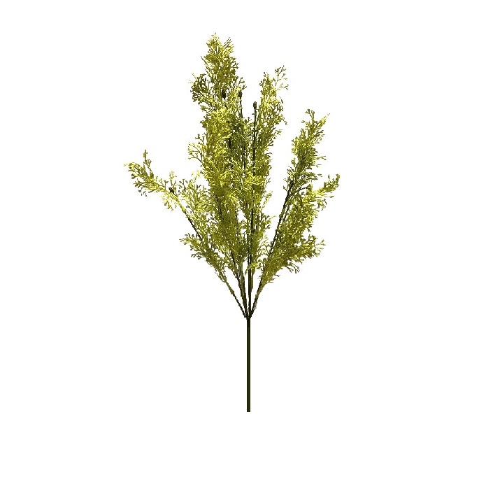 CORAL FERN BUSH SPRING GREEN x 7  Stems