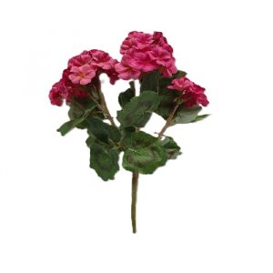 FUCHSIA NATURAL GERANIUM PLANT