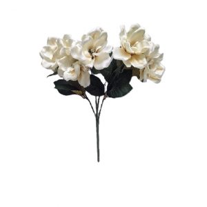 SOUTHERN MAGNOLIA BUSH x 5 Stems