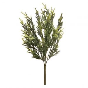 PISTOL PINE BUSH / 20"
