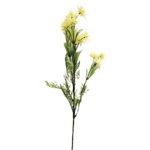 CREAM WITCH HAZEL SPRAY