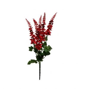 RED NATURAL BELLS OF IRELAND BUSH x 5 Stems