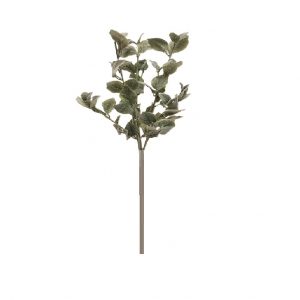 COLEUS FLOCKED GREENERY / 24"