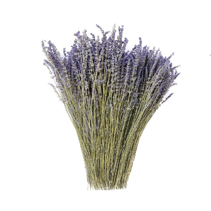 FRENCH LAVENDER