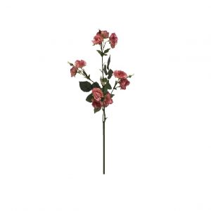 ROSEWOOD CLASSIC WILD ROSE