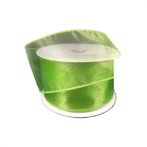 KIWI SHEER WIRED RIBBON/2.5"