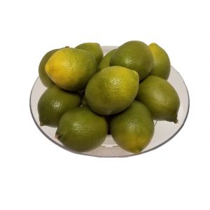 GREEN YELLOW LIMES x12