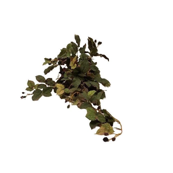 RASPBERRY HANGING BUSH WITH BERRY x 7 branches