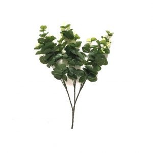 GREEN EUCALYPTUS BUSH