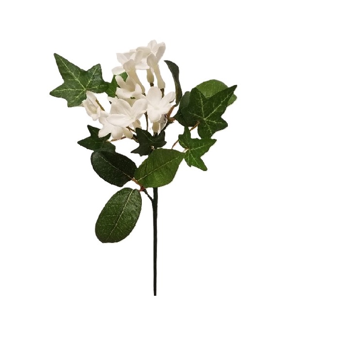 STEPHANOTIS PICK