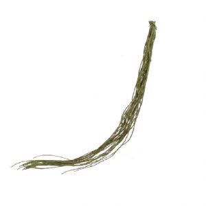 VINE BUNDLE / 36"