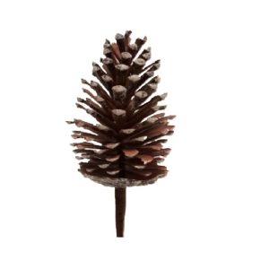 PINE CONE PICK / 13"