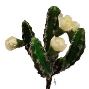 CACTUS PICK / 8.5"