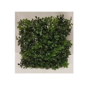 BOXWOOD SQUARE / 12"
