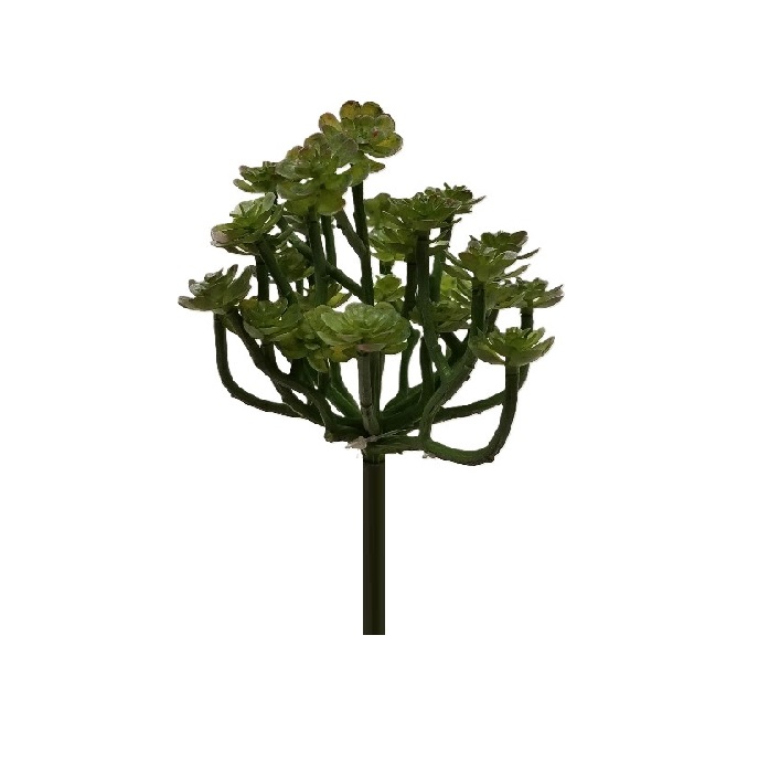 GREEN SENECIO SUCCULENT/8"