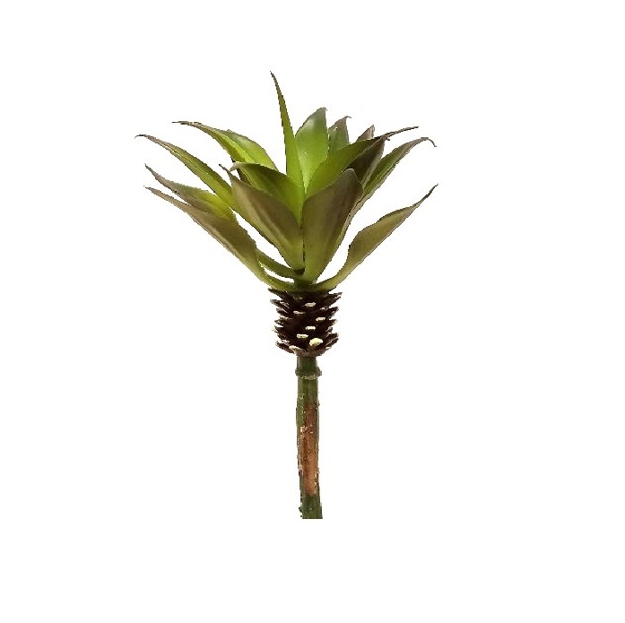 ALOE SUCCULENT PICK / 10"