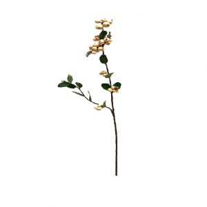 CREME BERRY SPRAY / 25"