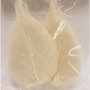 SKELETAL PEEPUL LEAVES