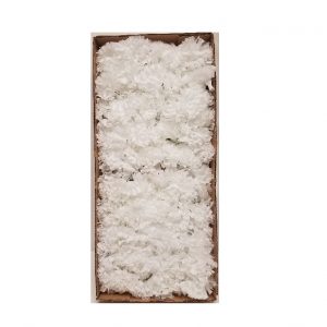 WHITE CARNATION HEAD / 100 blooms