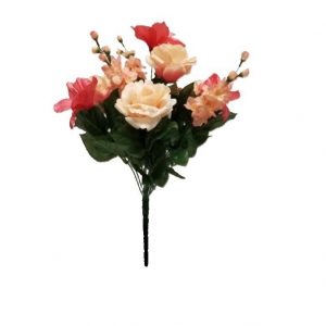 PEACH CORAL AMARYLLIS ROSE AGAPANTHUS BUSH