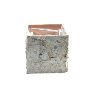 BIRCH POT SQUARE / 4.75"