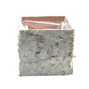 BIRCH SQUARE POT / 5.5"