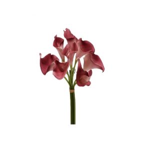 PURPLE CALLA LILY BUNDLE x 9 Stems