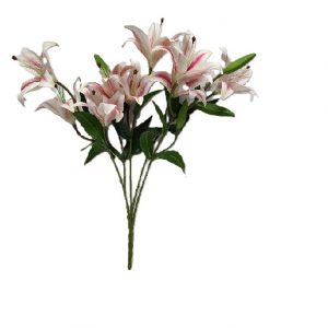 CREAM PINK HYBRID LILY BUSH x 9 Stems