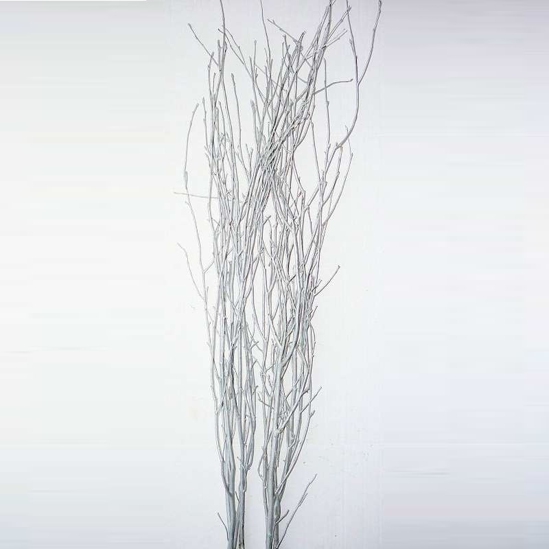 SILVER BIRCH BRANCHES