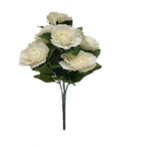 CREME WHITE AVE MARIA PEACE ROSE BUSH