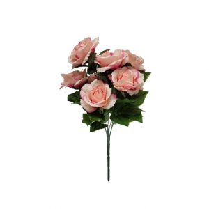 BLUSH PINK AVE MARIA' PEACE ROSE BUSH