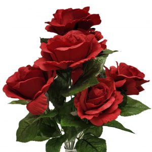 RED AVE MARIA PEACE ROSE BUSH