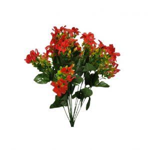 RED MIXED DIANTHUS BOXWOOD BUSH x 12 Stems