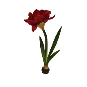 RED AMARYLLIS W BULB /22"