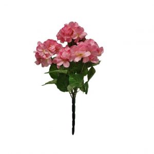 PINK REGAL HYDRANGEA BUSH